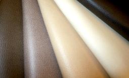 Mitchell Group Collection