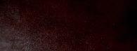 Taos Burgundy Polyurethane on recycled leather