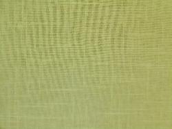 Jameson Linen color Kiwi Fruit home decor fabric