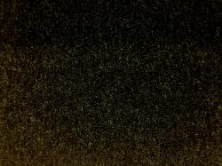 Angora Goat Wool Velvet Fabric upholstery fabric from our manufacturer's buy out