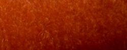 Mohair Velvet Color Brick Fabric