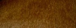 Swatch of Plush Mohair Velvet in Brown Sugar for Upholstery