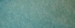 Mohair Velvet Color Mermaid Fabric Shorts