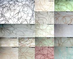  Sheer Swirl contemporary design, Pattern Opera, colors