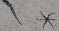 Color Palette americano, heathered grey, suva grey, black rock, delta, black marlin, licorice, shady lady, lemon grass