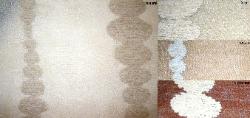 sheer with embroidered crewel design, Pattern Strathcona Stripe, colors