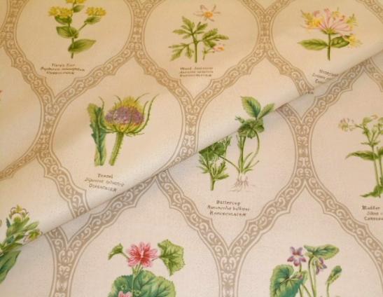 Closeup folded image of Wild flower taxonomy chart design Wild Flowers Color Meadow