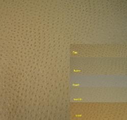 Pattern Outback Vinyl Upholstery Fabric Emu Skin Design, for home, commercial and contract, furniture, booths, benches and decorating, Colors Flax, Fawn, Pear, Vanilla, Sand