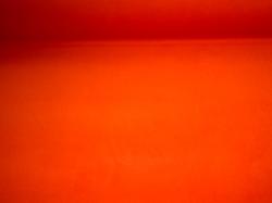 Porsche color Tangerine